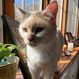 Meet your Posher, Seth